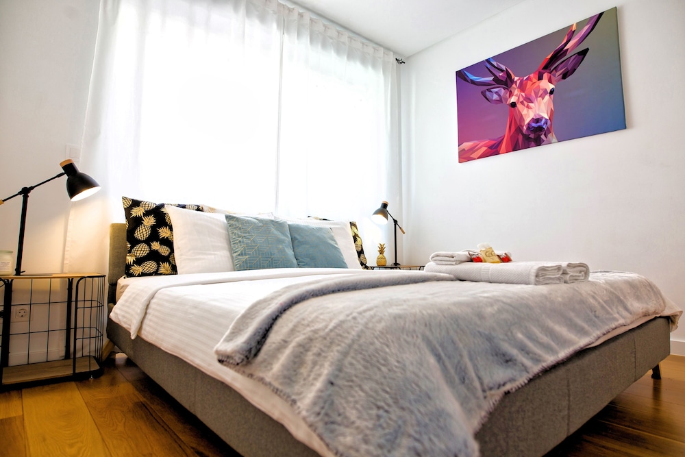 Comfort Room photo 3