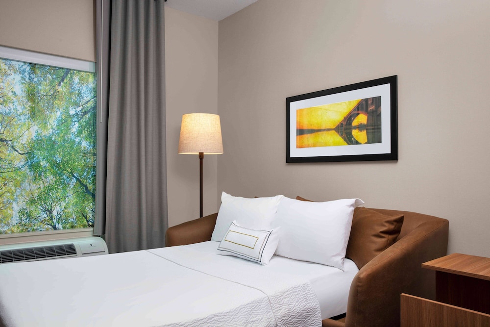 Suite, 1 King Bed with Sofa bed