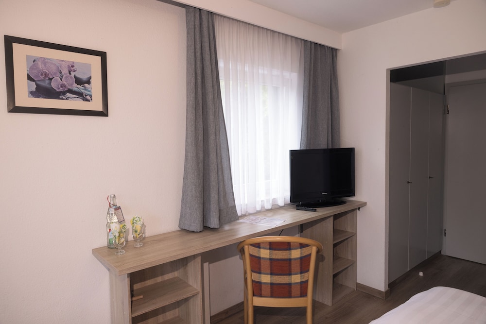 Single Room, Private Bathroom, Mountain View