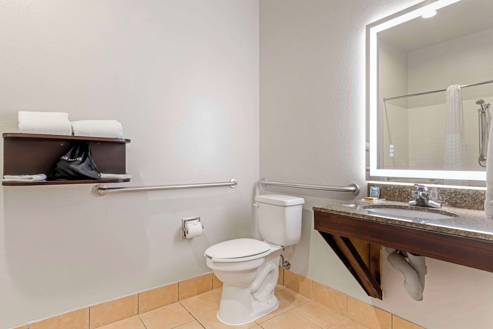Standard Room, 1 King Bed, Accessible, Refrigerator & Microwave (with Sofabed) - Photo 4