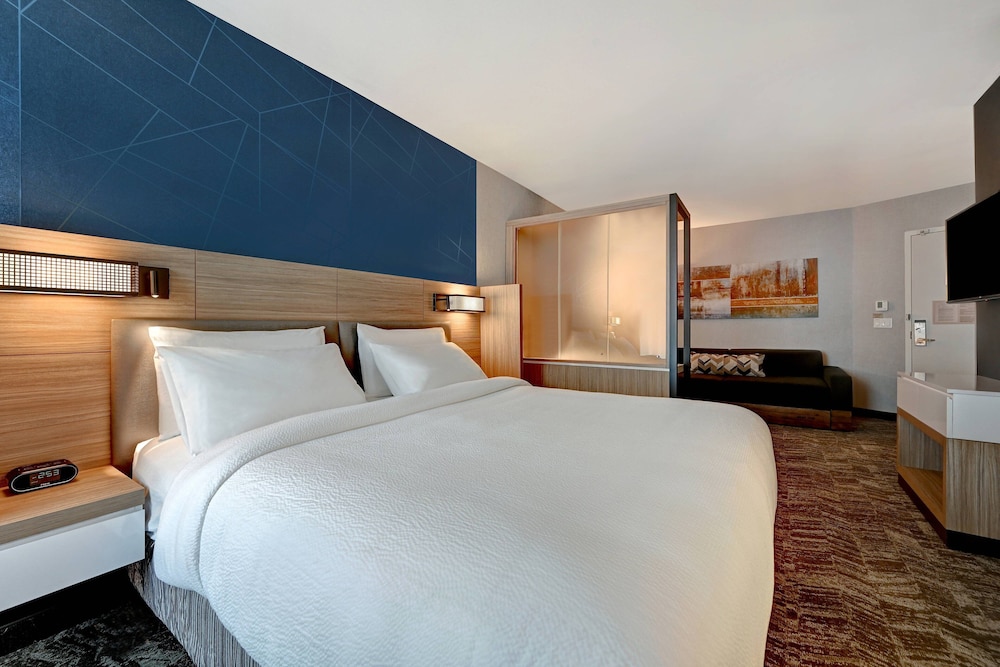 Suite, 1 King Bed - Photo 5