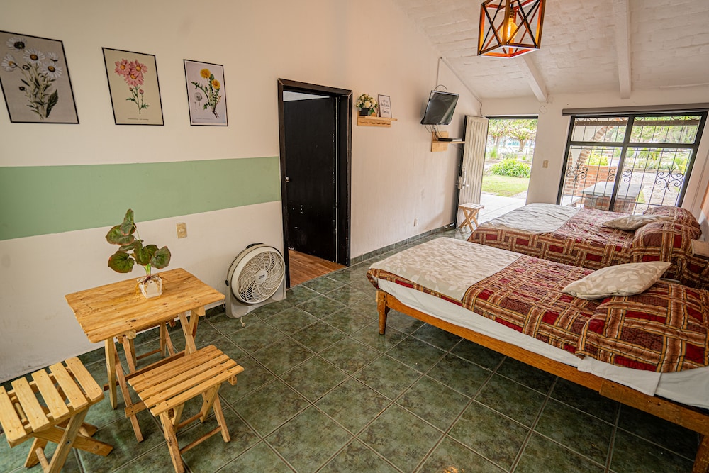 Basic Room photo 1