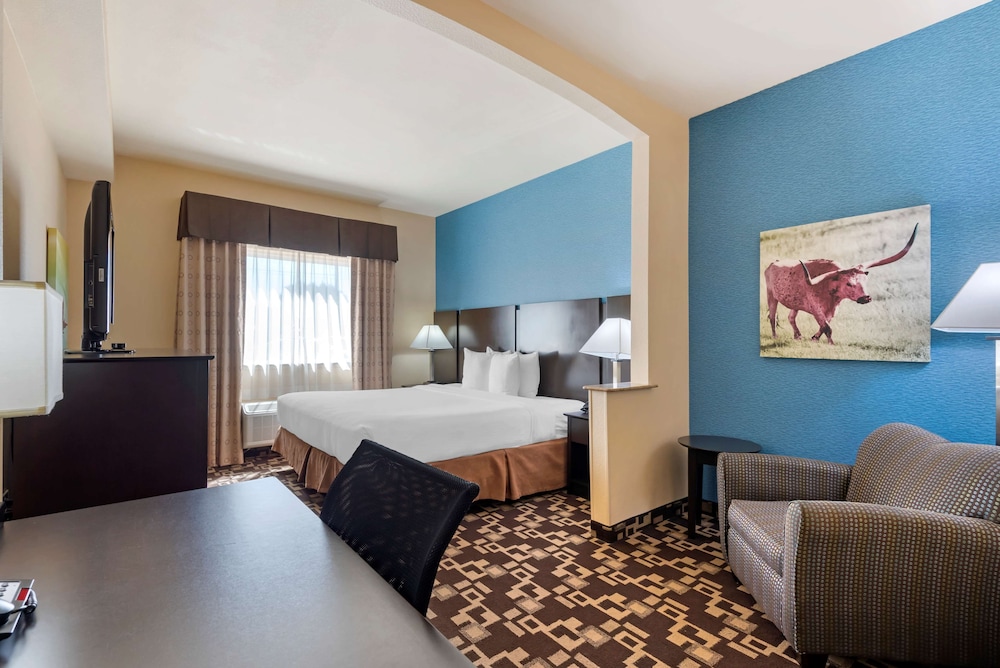 Standard Room, 1 King Bed, Accessible, Jetted Tub (with Single Sofabed) - Photo 5