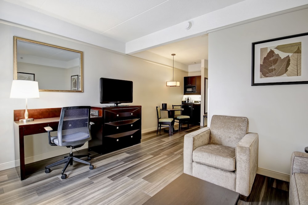 Suite, 1 Bedroom - Photo 4