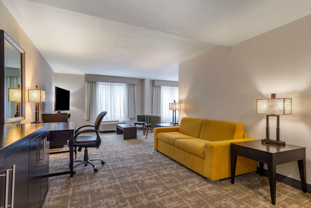 Suite, 1 King Bed, Non Smoking, Refrigerator & Microwave (Shower Only;Larger Room;with Sofabed) photo 2