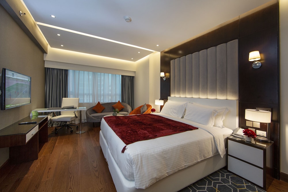 Deluxe Studio Suite photo 3