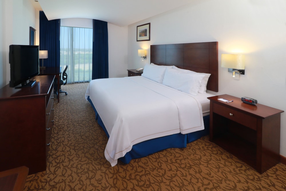 Standard Room, 1 King Bed, Accessible photo 3