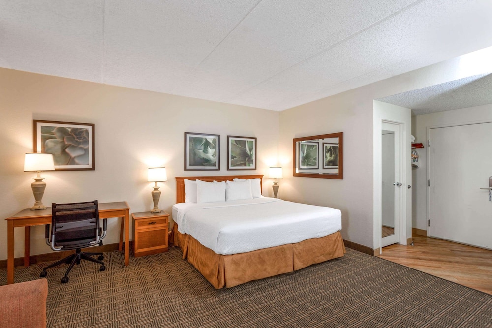 King Suite photo 1
