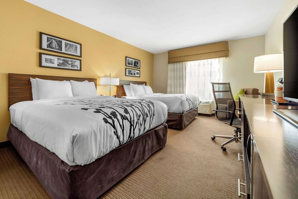 Suite, Multiple Beds, Non Smoking photo 1