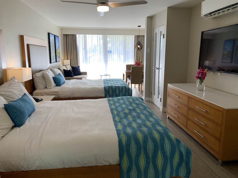 Studio Suite - Photo 1