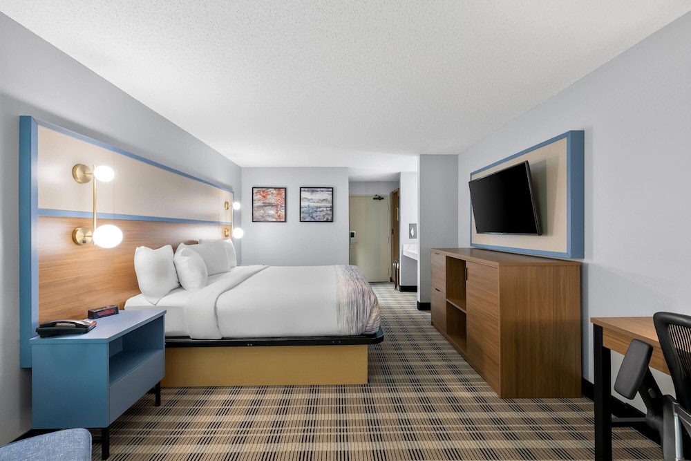 Room, 1 King Bed, Non Smoking - Photo 9
