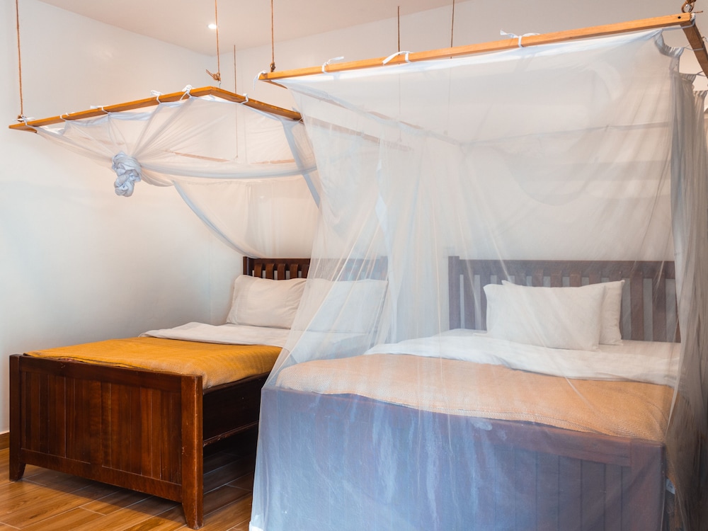 The Top Bird Rooms