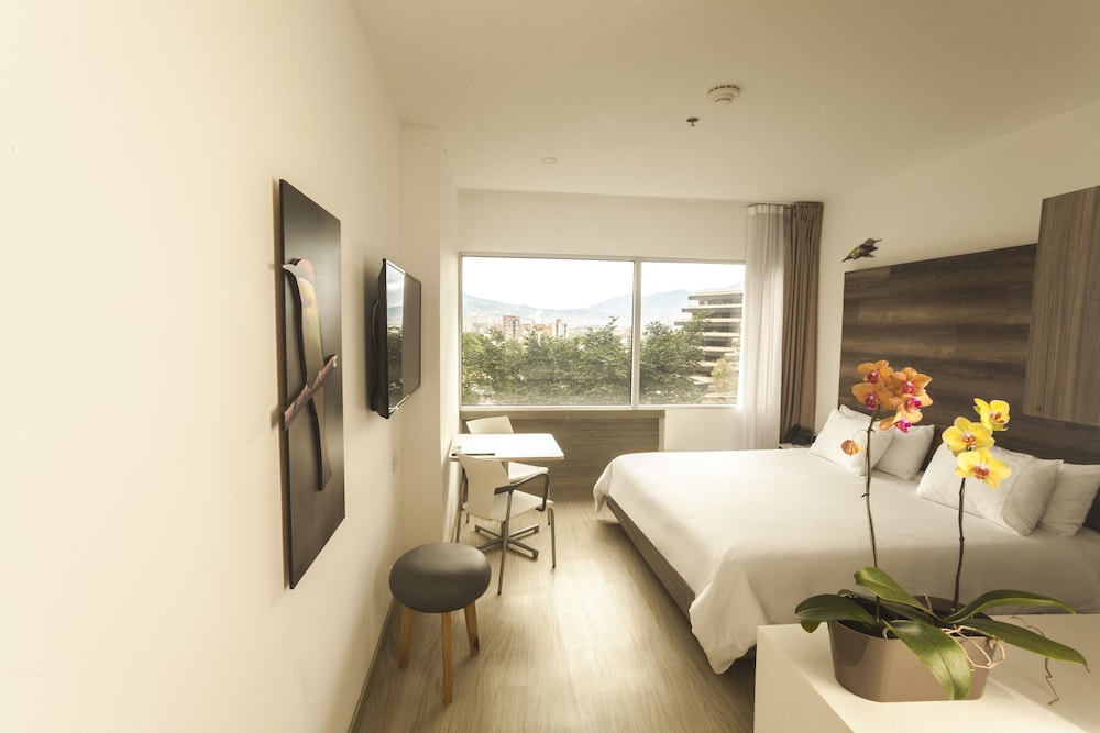 Studio, 1 Queen Bed