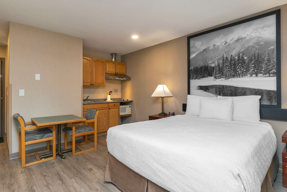 Room, 1 Queen Bed, Non Smoking Efficiency Kitchenette (Pet Friendly) photo 3