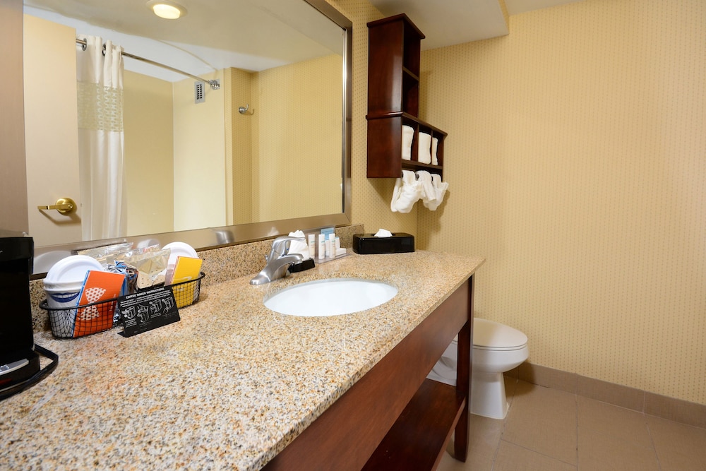 Suite, 1 King Bed, Accessible, Non Smoking (Hearing) - Photo 6