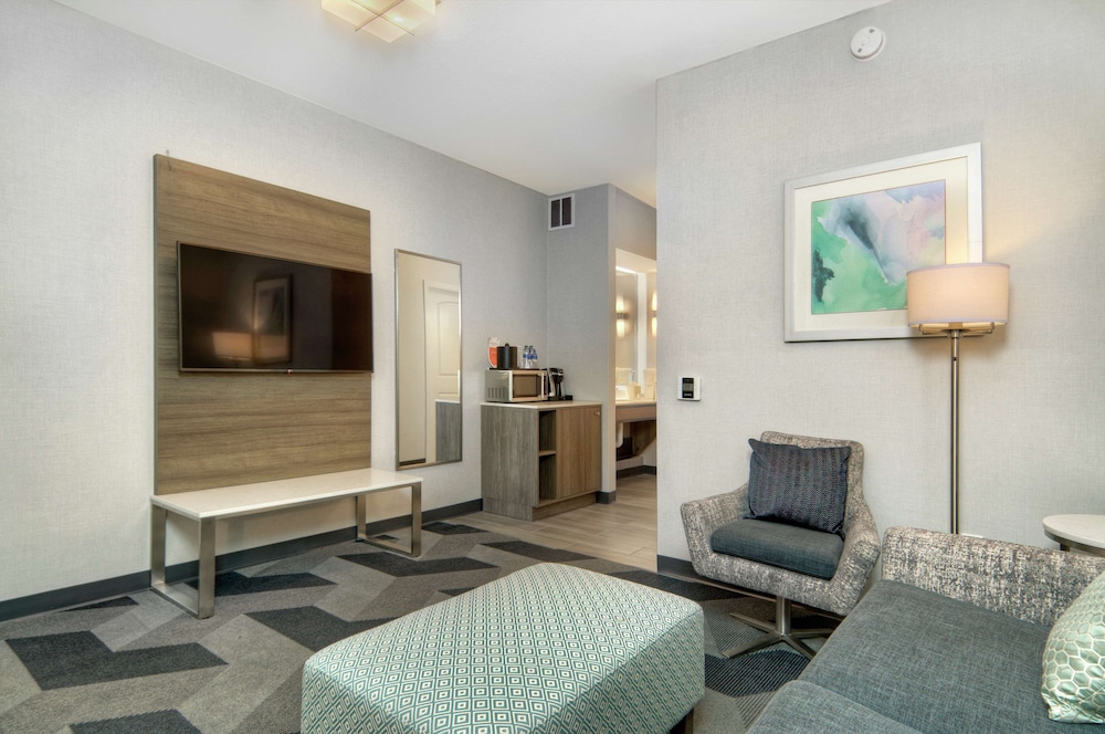 Suite, 1 King Bed, Accessible - Photo 6