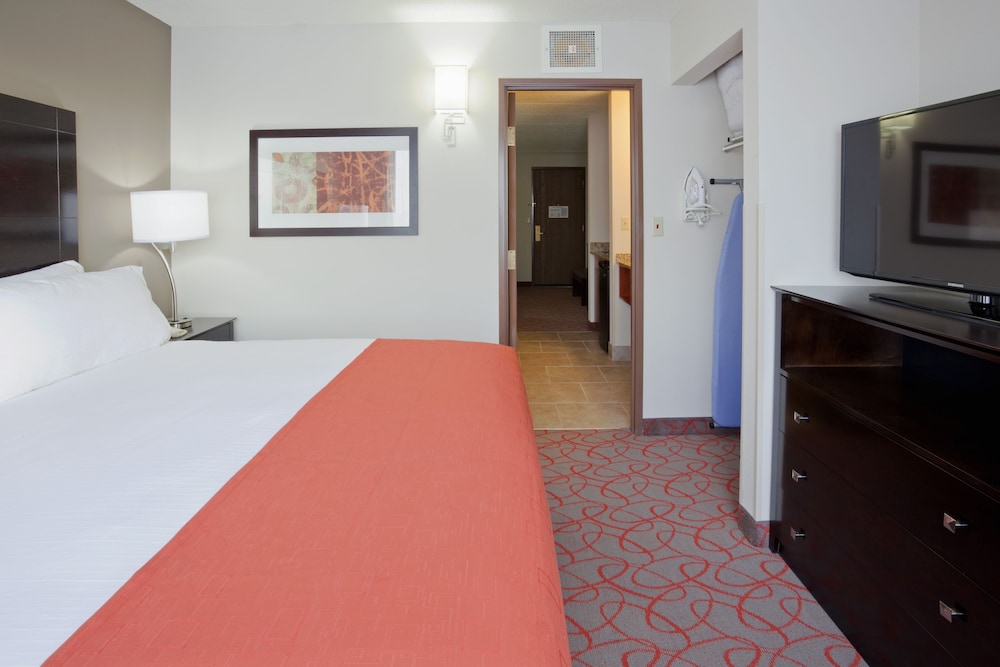 Suite, 1 King Bed with Sofa bed - Photo 4
