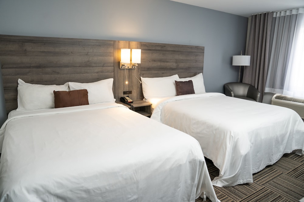 Signature Room 2 Queen Beds photo 2