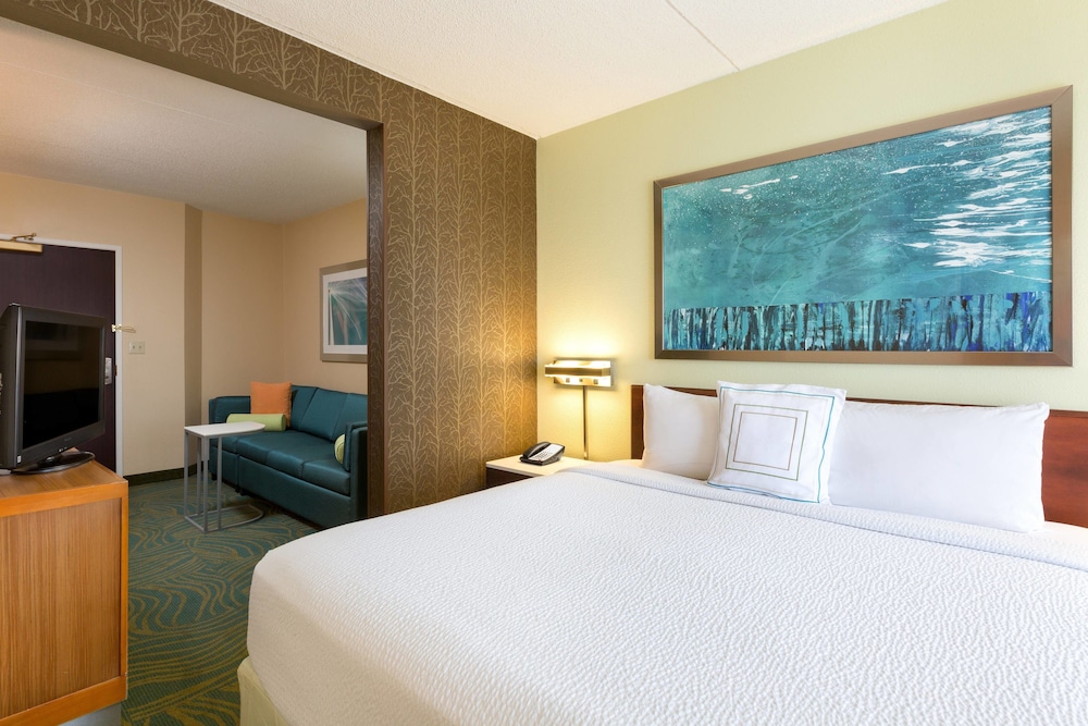 Suite, 1 King Bed with Sofa bed (Mobility/Hearing Accessible, Tub)