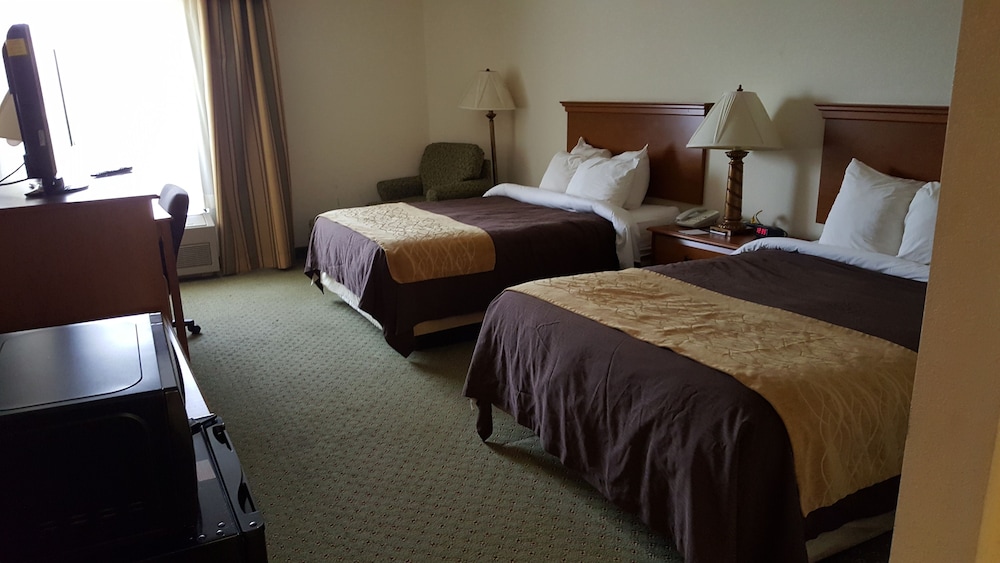 Standard Room, 2 Double Beds, Non Smoking - Photo 1