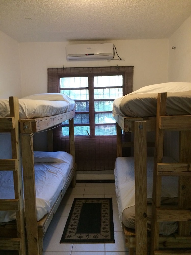 Basic Shared Dormitory, Kitchenette, Courtyard Area photo 1