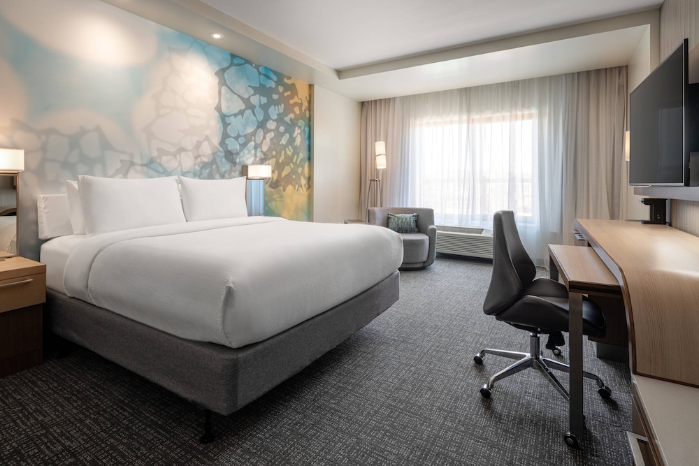 Room, 1 King Bed with Sofa bed (Mobility/Hearing Access, Roll-in Shwr) - Photo 1