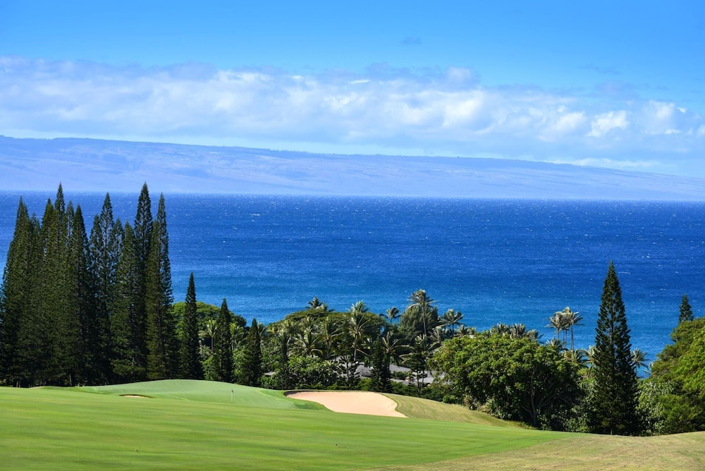 Condo, 2 Bedrooms, Partial Ocean View (KRV-1223) photo 3