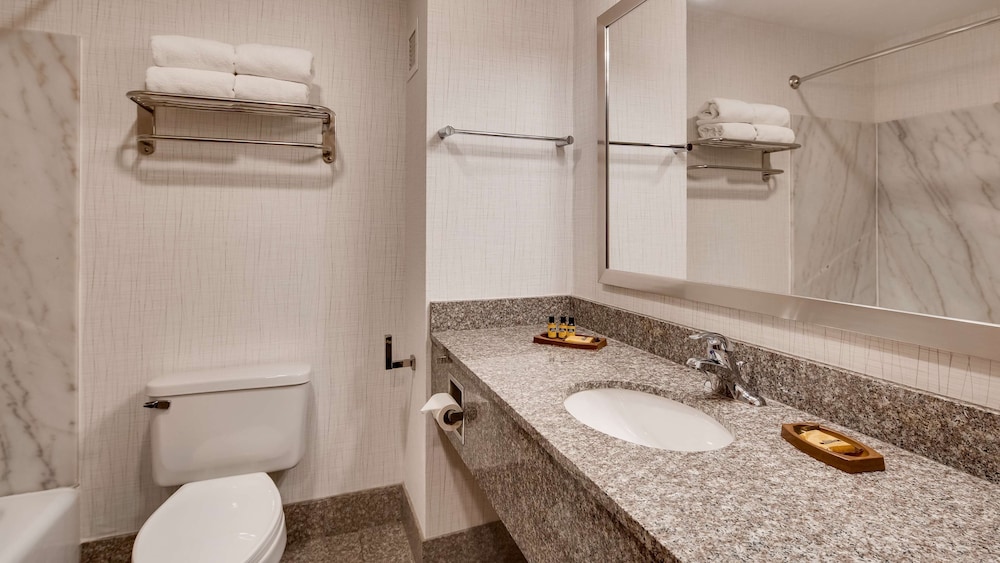 Standard Room, 1 King Bed, Non Smoking, Refrigerator & Microwave