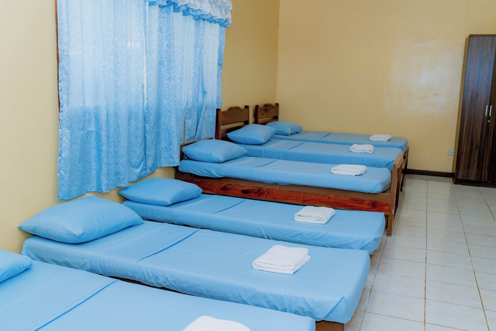Shared Dormitory photo 3