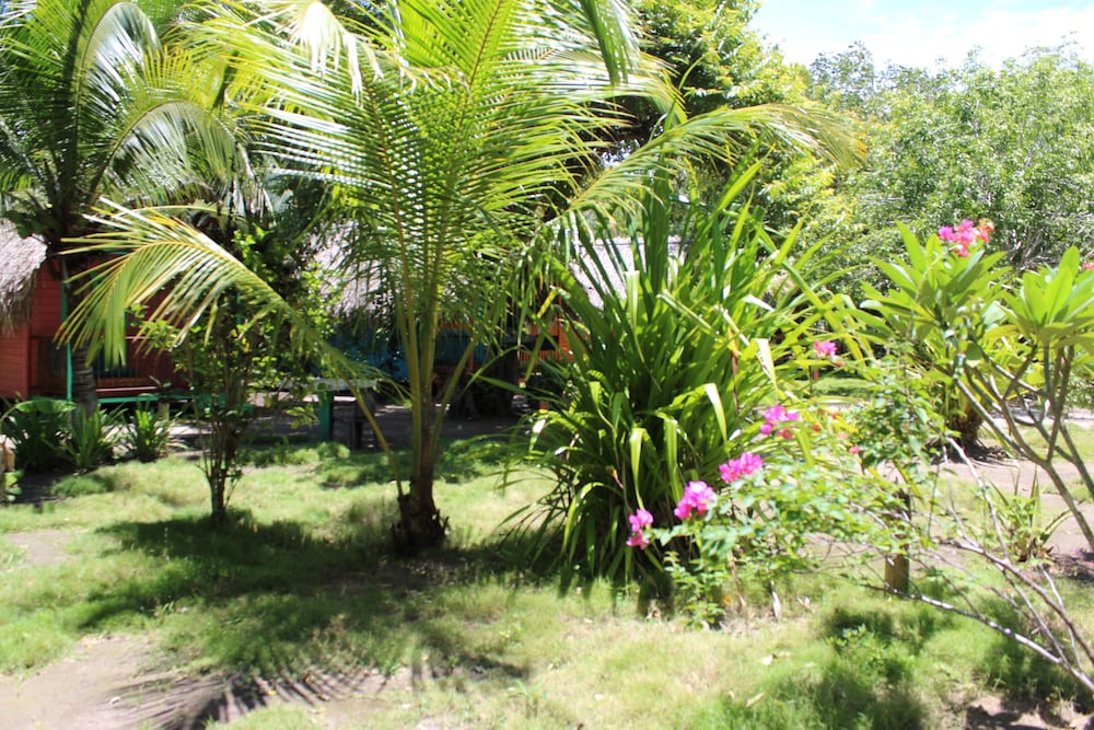 Cabin (Bungalow 1 - Yellow) photo 2