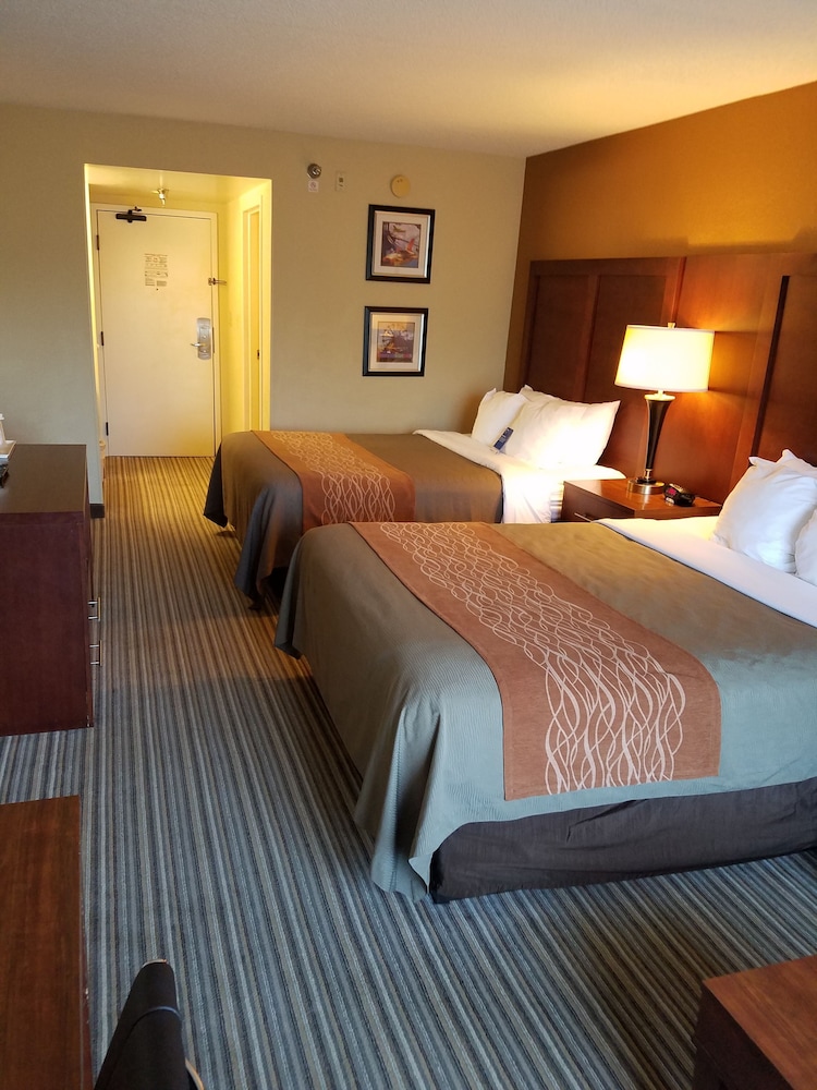 Standard Room, Multiple Beds, Non Smoking - Photo 5