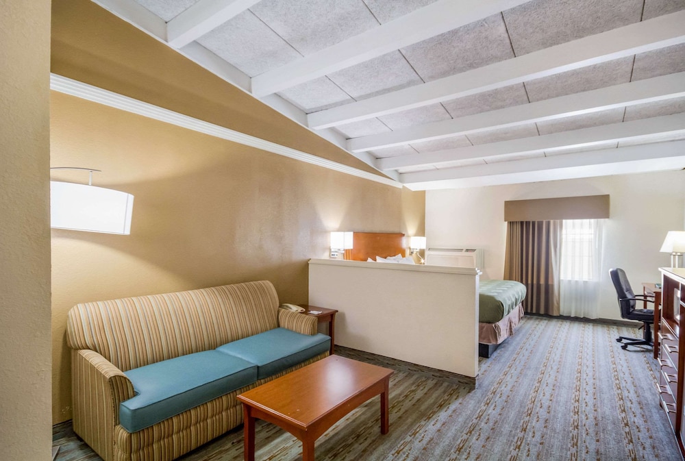 Suite, 1 King Bed with Sofa bed photo 1