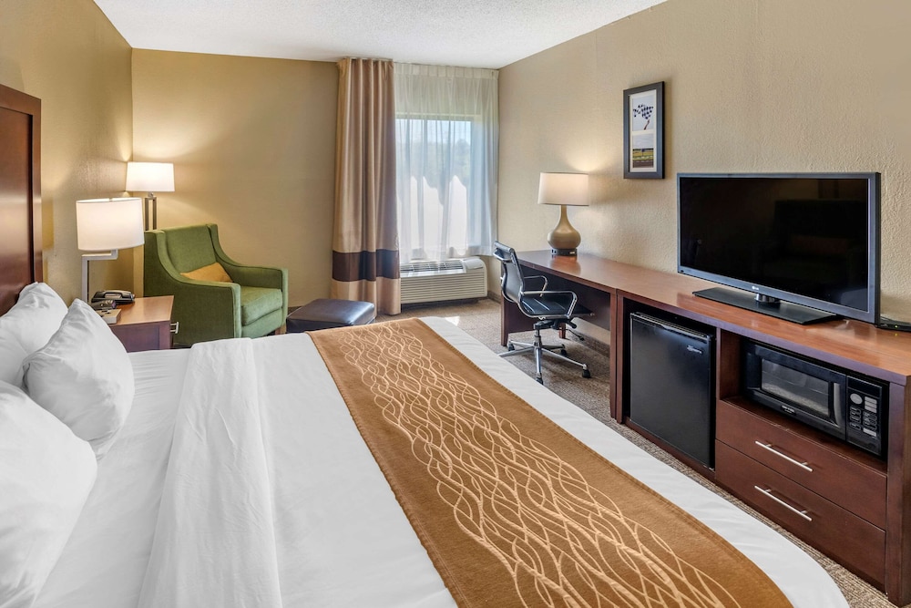 Standard Room, 1 King Bed, Non Smoking photo 3