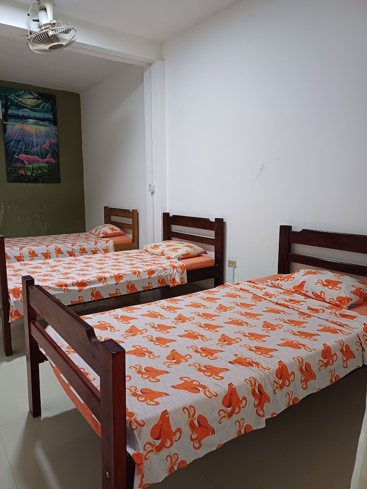 Basic Room photo 1