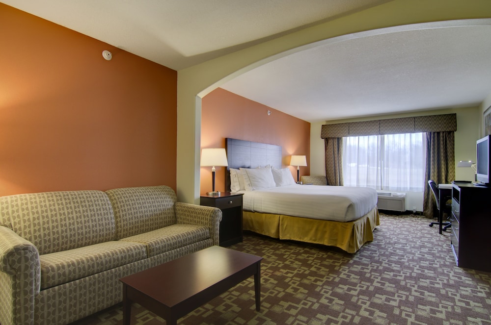 Suite, 1 King Bed photo 3