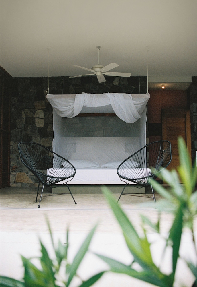 Premium Nature View Room