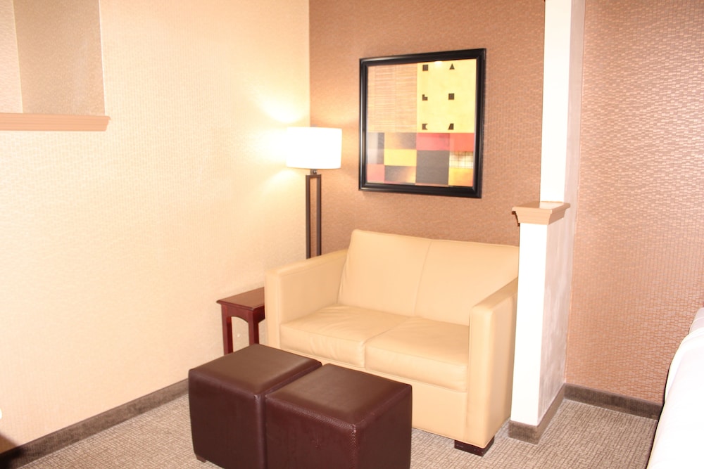 Suite, Non-Smoking, 1 King Bed with Sofa Bed - Photo 8