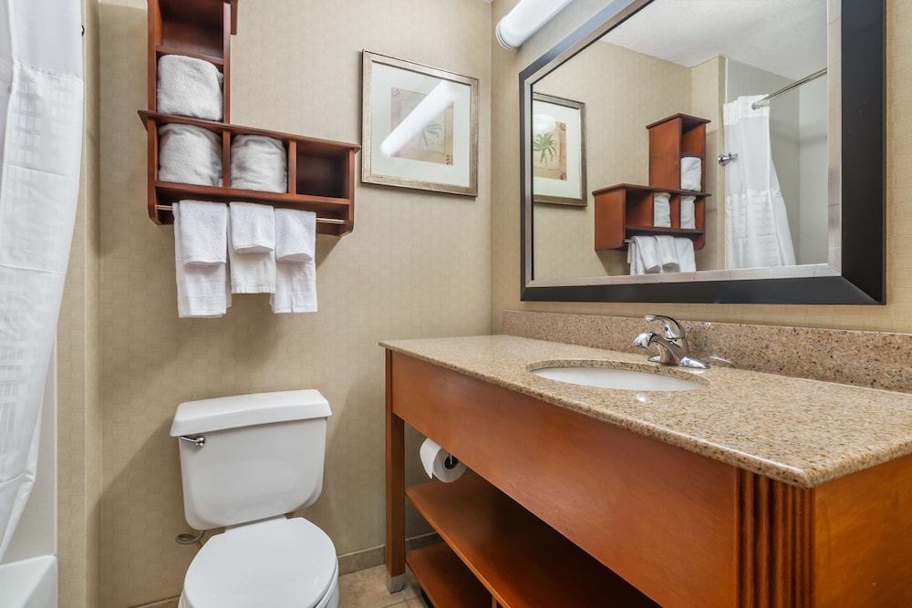 Suite, 1 King Bed, Non Smoking (with Single Sofabed) - Photo 4