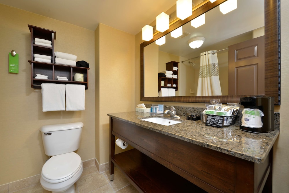 Suite, 1 King Bed, Accessible (Hearing) - Photo 4