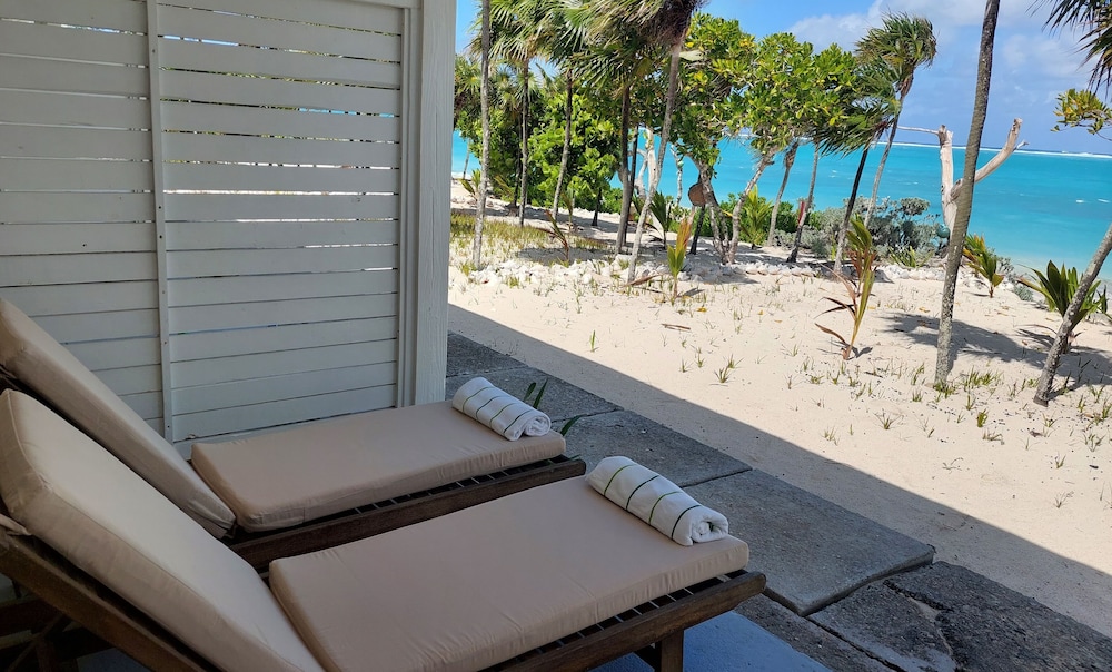 Beachfront King photo 3