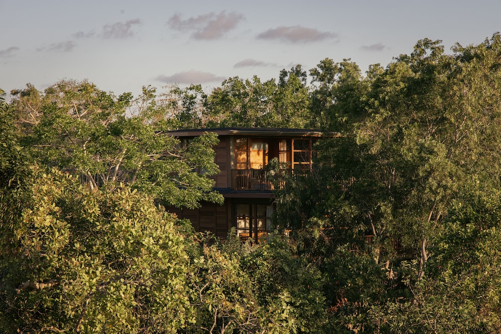 Tree House (Villa) - Photo 9