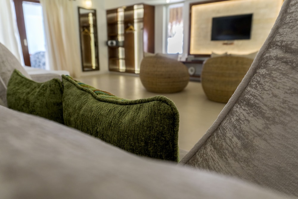Premium Suite - Photo 4