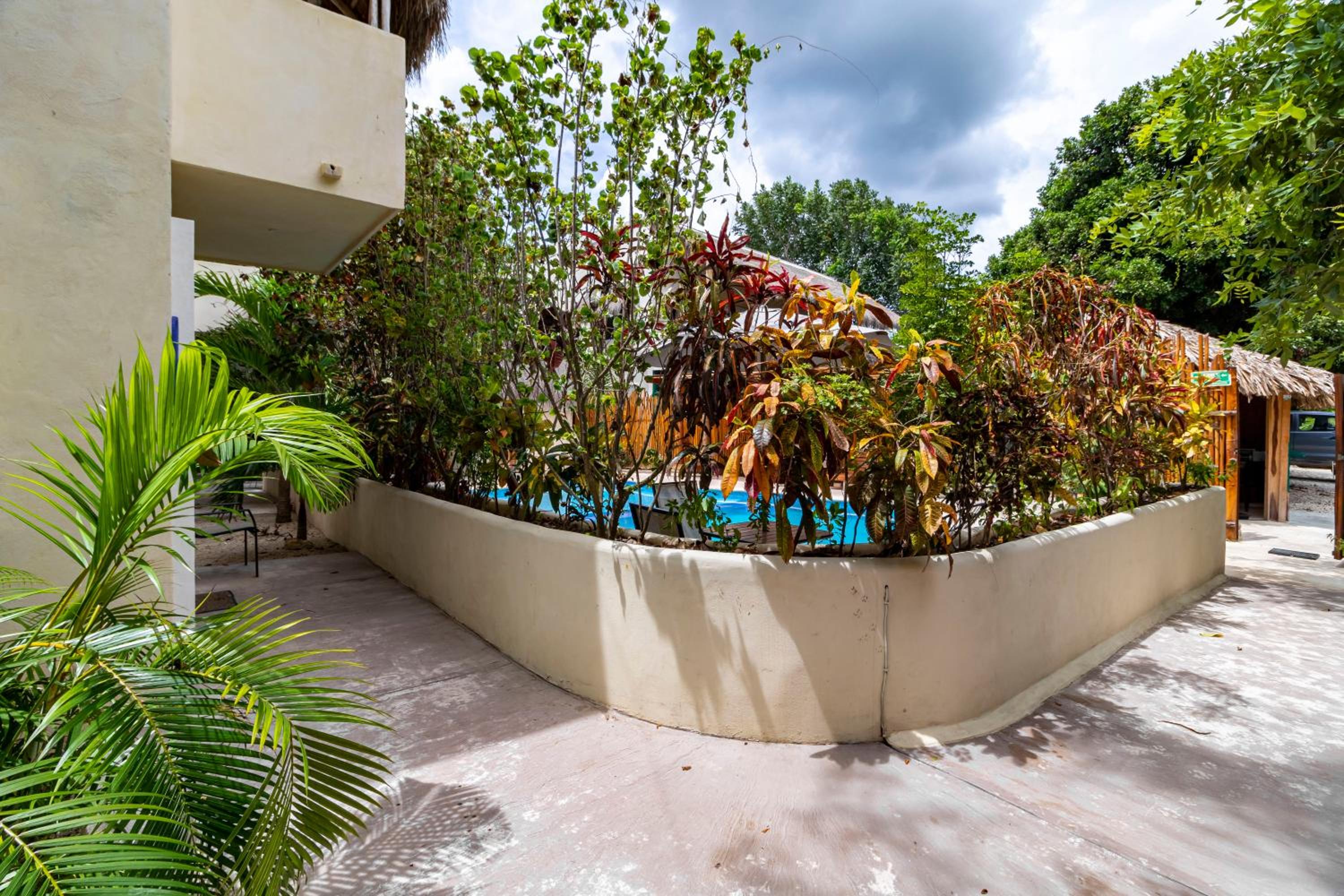 Junior Suite with Garden View - Photo 9