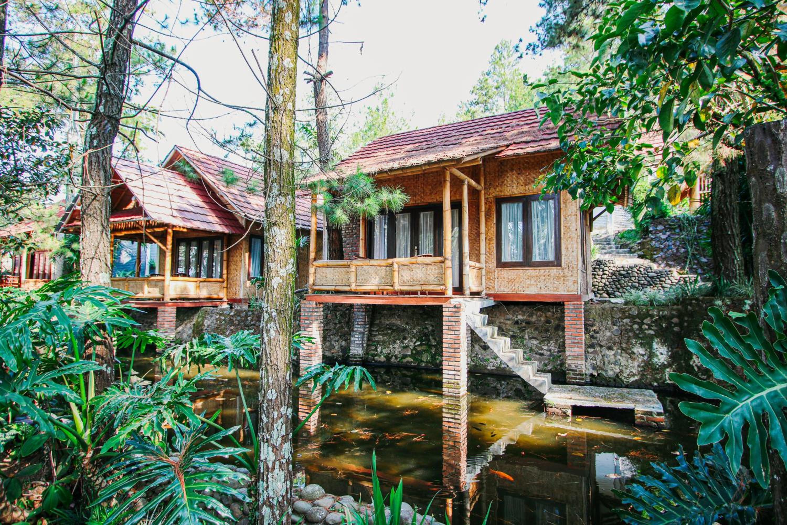 Deluxe Bungalow photo 2