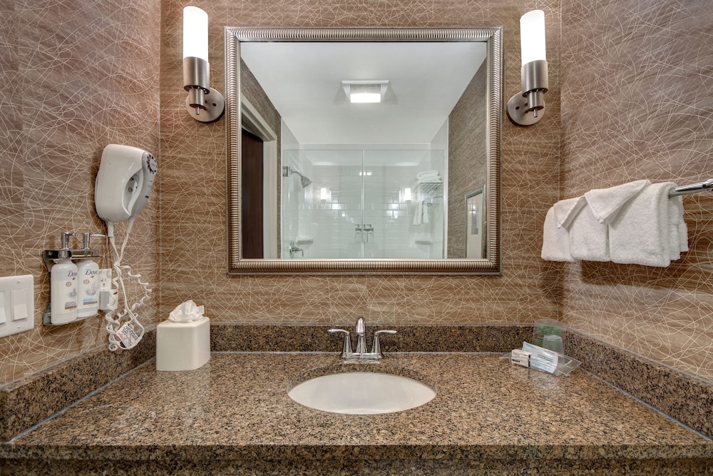 Standard Room, 1 King Bed, Accessible (Communication Accessible) - Photo 6