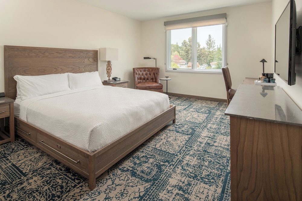 Room, 1 King Bed (Hearing Accessible) photo 1