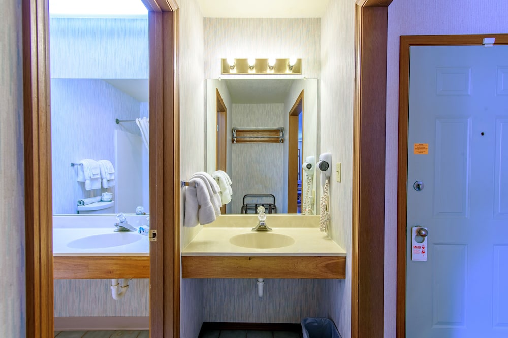 Standard Room, 1 King Bed, Refrigerator & Microwave, Courtyard View (pet friendly) photo 3