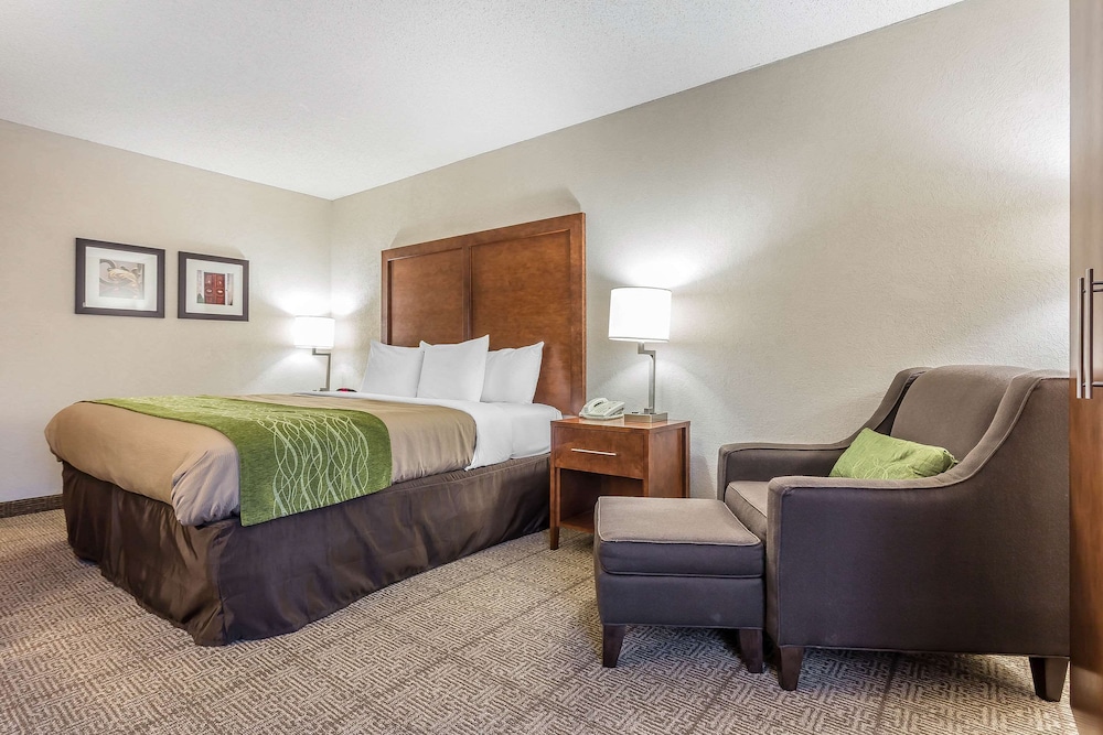 Standard Room, 1 King Bed, Non Smoking - Photo 7