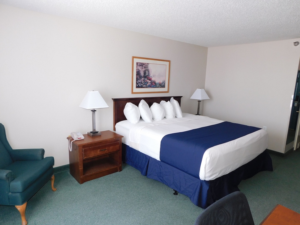 Single King Bed - Non-Smoking photo 2
