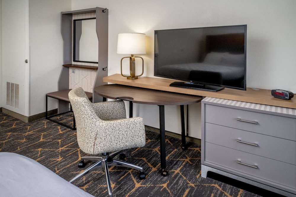 Suite, 1 King Bed, Mobility Accessible (Roll-In Shower) - Photo 3